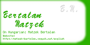 bertalan matzek business card
